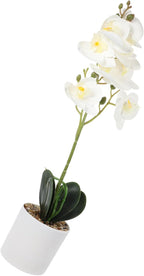 Luxshiny Artificial Phalaenopsis Bonsai Orchid Plant, Lifelike Faux Potted Flowers with 8 White Blooms, Realistic Indoor Home Décor Table Centerpiece for Living Room and Office