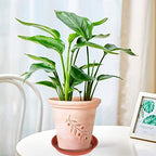 VUWEZ 6 Pack of 12 inch Plant Saucer, Plastic Plant Saucer 12", Plant Saucers for Indoors, Plant Water Tray, Plant Trays for Pots, Planter Tray, Plant Saucers for Planter 11-13" (12", Terracotta)