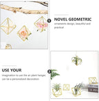 Homoyoyo 5 Pack Geometric Air Plant Holder - Gold Metal Himmeli Stand for Tillandsia, Minimalist Airplant Display Rack for Home Office Desktop, Modern Indoor Plant Decoration (2.6 x 2.6 inch)