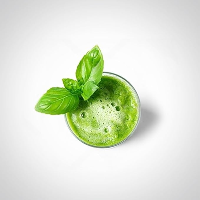 Longevity Spinach Plant (12 Plants)