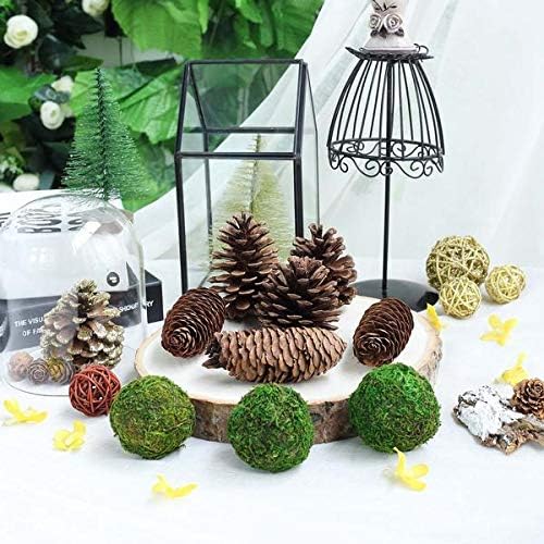 Farmoo Moss Balls Preserved All Natural, 3.5"-Set of 6 (Natural Green)