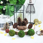 Farmoo Moss Balls Preserved All Natural, 3.5"-Set of 6 (Natural Green)