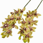 4pcs Artificial Cymbidium Orchid Flower Plant 3D Print Vanda 10 Heads Latex Phalaenopsis Flower (Green Yellow)