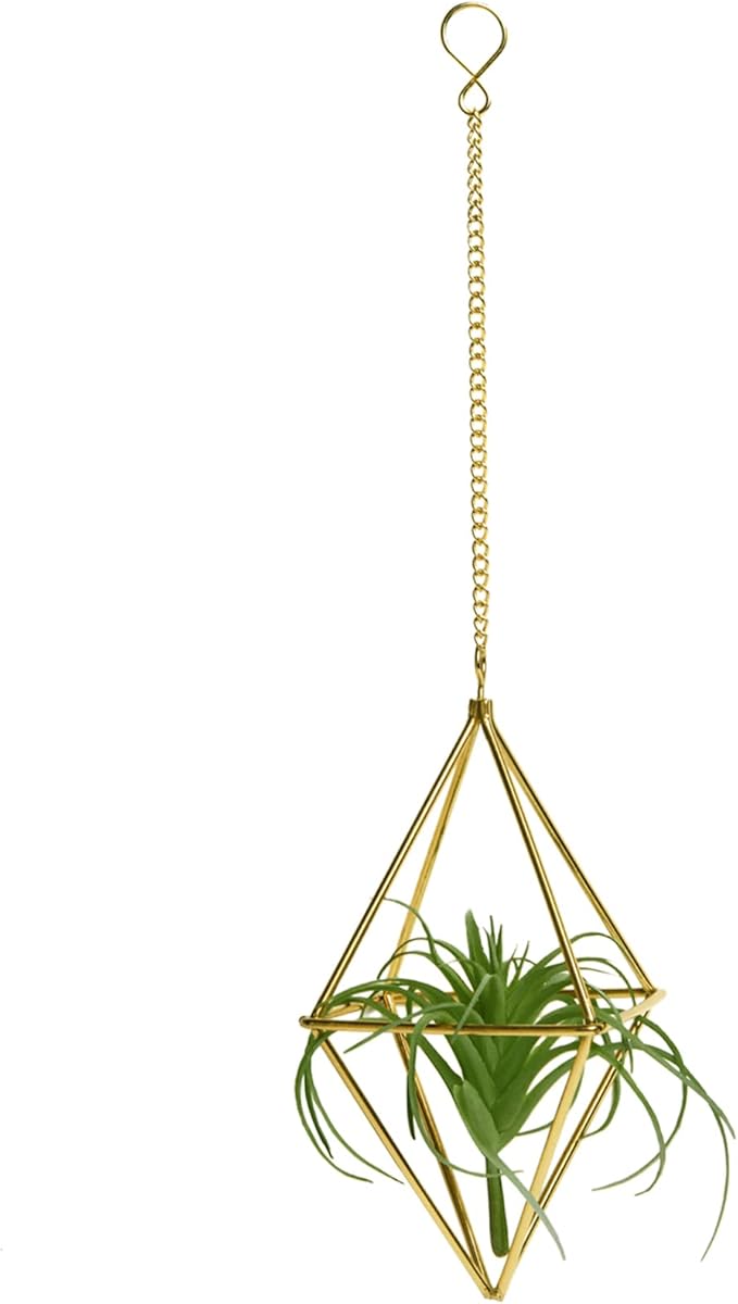 Air Plants Holders Hanging Airplants Hangers Himmeli Metal Wire 4Pcs Geometric Display Airfens Planter Frame 2 Sizes Tillandsia Holder with Chain and Hooks Decor for Home Office