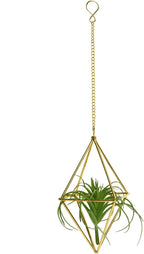 Air Plants Holders Hanging Airplants Hangers Himmeli Metal Wire 4Pcs Geometric Display Airfens Planter Frame 2 Sizes Tillandsia Holder with Chain and Hooks Decor for Home Office