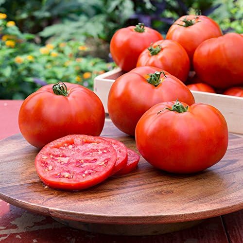 Big Boy Tomato Live Vegetable Plants, 4-Pack