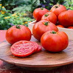 Big Boy Tomato Live Vegetable Plants, 4-Pack