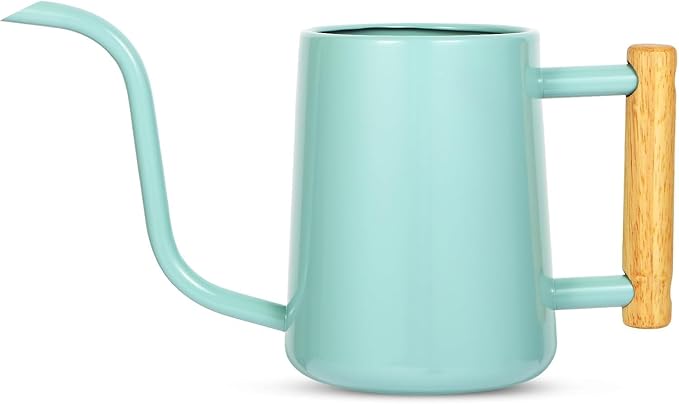 Watering Can Indoor Plants, 35 oz/1000 ml Metal Stainless Steel Watering Can Pot with Long Spout for Indoor House Plants Bonsai Outdoor Garden Flower Decorative (Green