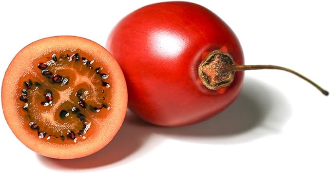 Tamarillo Tree Tomato Tamamoro Tomate de Arbol Seeds 35 PCS