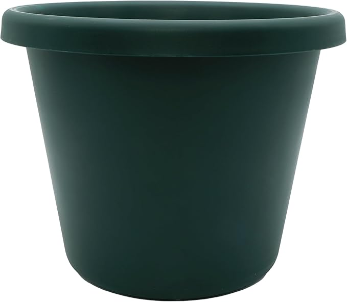 The HC Companies Classic Round Plastic Plant Pot w/Rolled Rim - Lightweight & UV Resistant Flower Pot for Herbs & More - Outdoor & Indoor Plant Pots w/Drainage (11.5 inch Evergreen, Pack of 1)