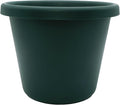 The HC Companies Classic Round Plastic Plant Pot w/Rolled Rim - Lightweight & UV Resistant Flower Pot for Herbs & More - Outdoor & Indoor Plant Pots w/Drainage (11.5 inch Evergreen, Pack of 1)