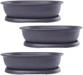 CZ Grain 14 Inch Oval Bonsai Pots and Drip Tray - Heavy Duty Display (3 Pots) - Ideal for Indoor or Outdoor Bonsai - Large Display Planters - Plants, Bonsai, Herbs