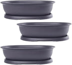 CZ Grain 14 Inch Oval Bonsai Pots and Drip Tray - Heavy Duty Display (3 Pots) - Ideal for Indoor or Outdoor Bonsai - Large Display Planters - Plants, Bonsai, Herbs