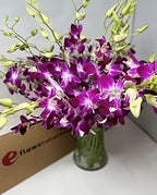 eflowerwholesale - Mother's Day Cut Purple Orchids (30 stems with Vase) (Support Small Business)