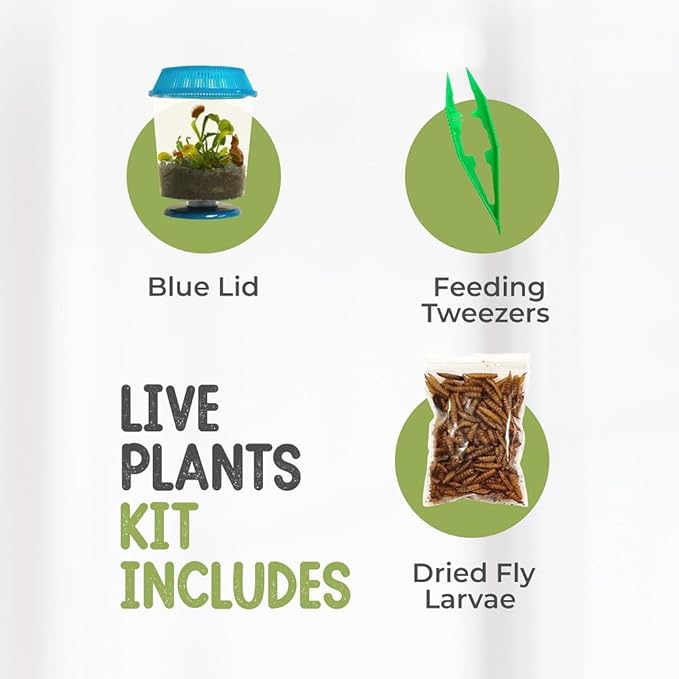 Venus Fly Trap Live Plant with 4.5" Blue Terrarium + Carnivorous Plants Food Bundle with Feeding Tweezers - Carnivorous Plant Soil and Live Venus Flytrap
