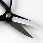 Wazakura Japanese Bonsai Trimming Care Kit Made in Japan - Traditional Bonsai Scissors 7inch(180mm) + Sap Rust Eraser Gift Box Set