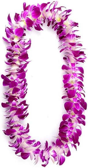 Miami Fresh Orchid Loose Bloom PERISHABLE flowers OrchidClub USA Sunne Tropical DIY lei, food & drink decoration (100 PURPLE)