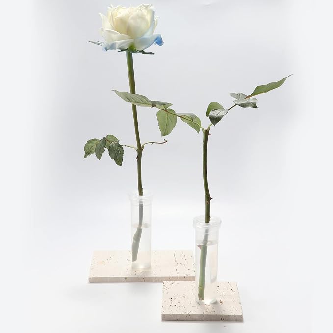 AIEX 6pcs 60ml Flower Water Tubes with Lid, Large Plastic Floral Water Tubes, Flower Tubes for Fresh Flowers Sunflower Milkweed Cutting Arrangement 4.1x1.8inch/10.8x3.6cm (Transparent)