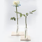 AIEX 6pcs 60ml Flower Water Tubes with Lid, Large Plastic Floral Water Tubes, Flower Tubes for Fresh Flowers Sunflower Milkweed Cutting Arrangement 4.1x1.8inch/10.8x3.6cm (Transparent)