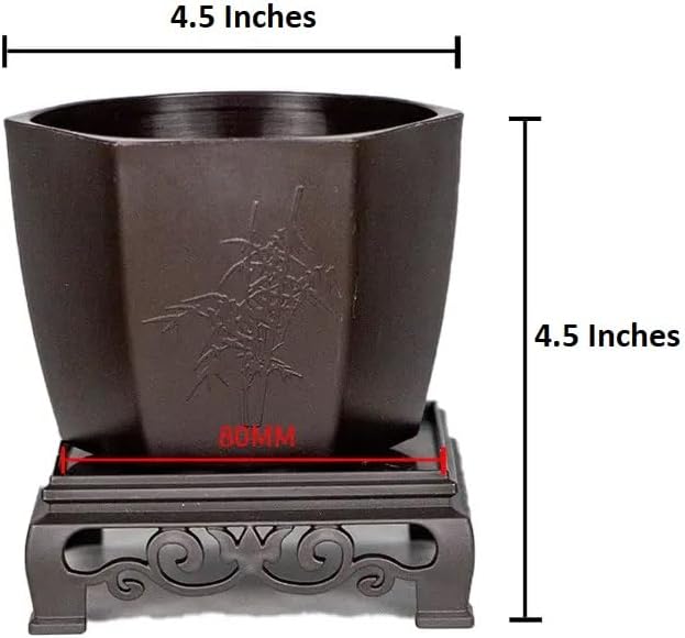 CZ Grain 4.5 Inch Bonsai Pots with Raised Tray - Great for Training New Bonsai Trees (1 Pot)