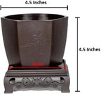 CZ Grain 4.5 Inch Bonsai Pots with Raised Tray - Great for Training New Bonsai Trees (1 Pot)