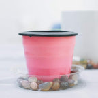 TRUEDAYS 10 Inch 5 Pack Clear Plant Saucers Flower Pot Tray Excellent for Indoor & Outdoor Plants