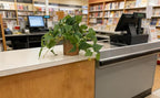 Artificial Plant Indoor Fake Pothos with Pulp Pot, Faux Potted Plant for Home, Office, Desk, Shelf, Living Room, Bedroom & Balcony Decor, 10x10cm, 2 Pack