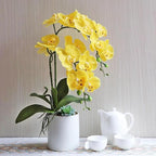 Htmeing 38 Inch Artificial Phalaenopsis Flowers Branches Real Touch (Not Silk) Orchids Flowers for Home Office Wedding Decoration,Pack of 2 (Yellow)