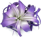 XL Xerographica Colored Air Plant, Live Tillandsia House Plant, Easy Care Indoor Outdoor, Great Gift, Healthy Arrival Guaranteed (Purple)
