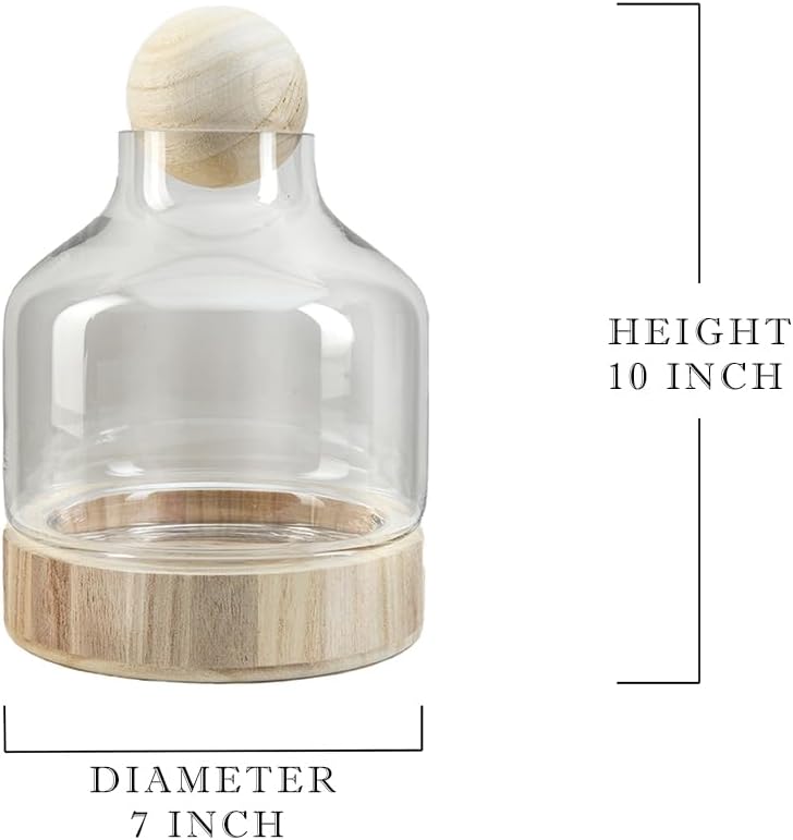 Serene Spaces Living Small Woodland Glass Terrarium - Wooden Base & Ball Stopper, Plants and Succulents Sanctuary, Potpourri Holder & Decorative Showcase for Home Décor, 7" Diameter & 10" Tall
