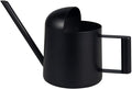 IMEEA Mini Watering Can for Indoor Plants Stainless Steel Small Watering Can 11oz/300ml