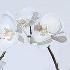 DUYONE 35 Inch Artificial Butterfly Orchid Flowers 4 Pcs Soft Touch Orchid Fake Phalaenopsis Flowers Stem Plants for Wedding Home Decoration (White Flowers 4pcs)