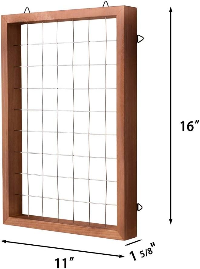 Mkono Air Plant Frame Hanging Airplant Holder Tillandsia Display Hanger Wooden Shelf Wall Decor for House Plants, Succulent, Christma Gifts for Plant Lovers, 16" (Plant Not Included)