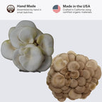 Forest Origins White & Brown Oyster Mushroom Grow Kit 2-Pack Variety - Beginner Friendly & Easy to Use, Grows in 10 Days | Handmade in California, USA | Top Gardening Gift, Holiday Gift & Unique Gift
