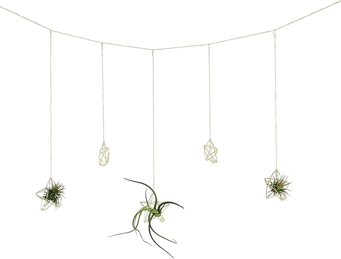 Newwe 5 Stars Kit Hanging Air Plant Holder Wall Gold Airplant Rack with Chains Home Wall Decor Boho Room Decoration Christmas Ornaments