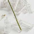 100 pcs Floral Water Tubes with 500ml Watering Can