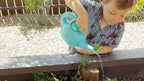 Watering Can - with Spout