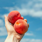 Peach Tree Live Plant, Up to 2 Ft Tall, Sweet Peach Fruit Tree for Outdoor Garden and Patio Growing Spring Planting, No Pot (Rare)