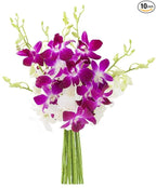 KaBloom Flowers - Mother's Day Collection - 5 Purple and 5 White Orchid without vase, Gift for Birthday, Sympathy, Anniversary, Get Well, Thank You, Valentine, Mother’s Day Fresh Flowers