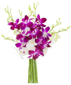 KaBloom - 5 Purple and 5 White Orchid with vase - Fresh Flowers for Birthday, Valentine's & Mother's Day