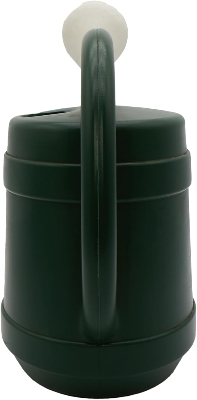 Standard Watering Can - Plant Watering Can - Small Plastic Garden Water Pot for Indoor Outdoor Plants Flowers by The HC Companies, 2 Gallon, Green