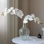 Artificial Phalaenopsis Orchid Realistic Faux Flower for Home Decoration, Hallway, Dining Table, and Living Room(7-headWhite)