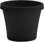 Bloem Terra 4" Diameter Round Black Resin Planter Pot with Pre-Drilled Drainage Holes for Indoor and Outdoor Gardening