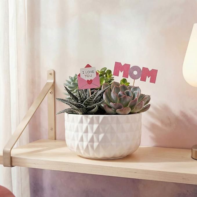 Green Circle Growers 6" Succulent Garden in Dultuh Ceramic with I Love You Pick and Glitter Mom Pick, Live Plant
