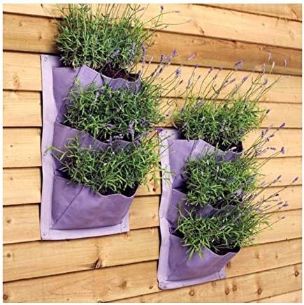 Burgon & Ball GVP/LAVEN Planting System Holder Lavender Verti-Plant®