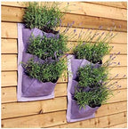 Burgon & Ball GVP/LAVEN Planting System Holder Lavender Verti-Plant®