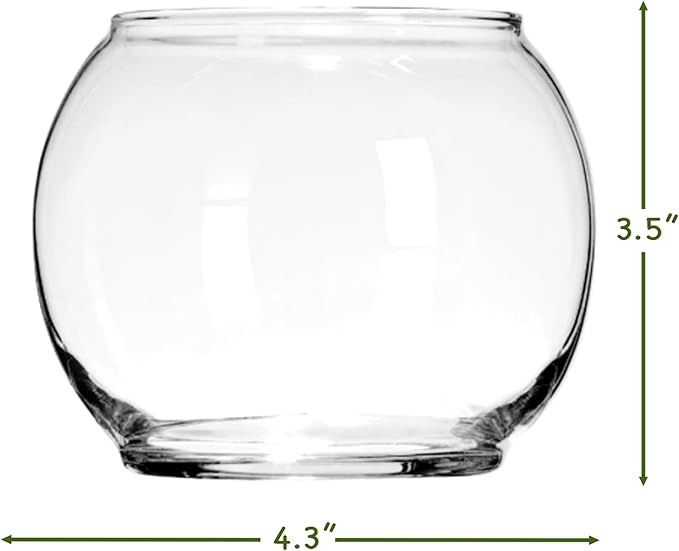 Cute Farms Glass Terrarium Kit | Just Add Your Own Plants (One Glass Bowl)