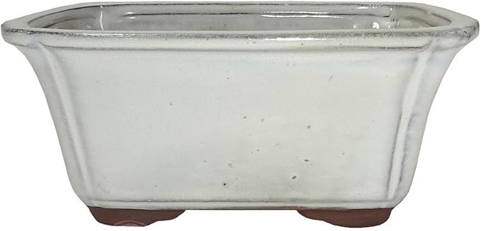Brussel's 6" Rectangle Bonsai Glazed Ceramic Pot (Small, New Cream)
