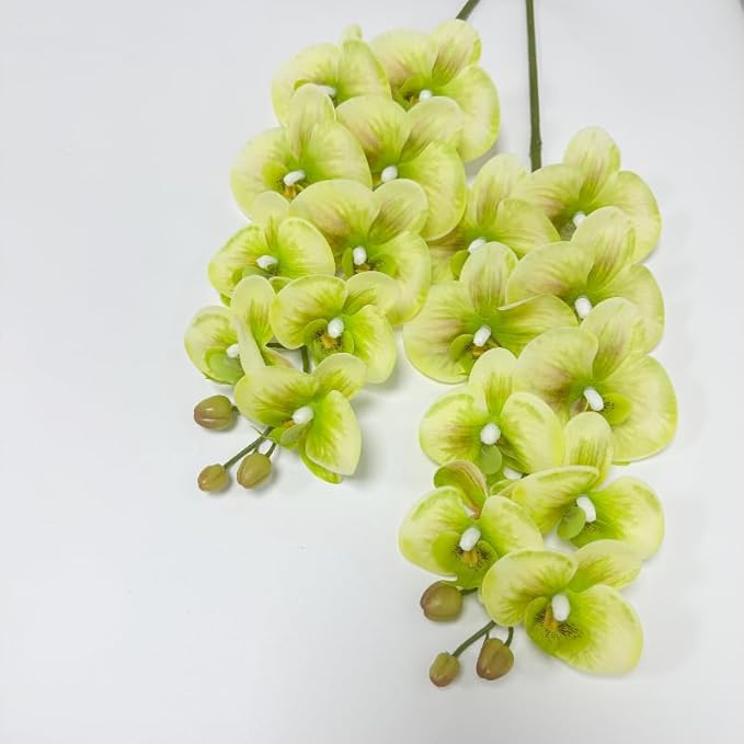 2 Pcs Orchid Stems 38" Artificial Flowers Real Touch Latex Faux Phalaenopsis Branches White Artificial Flowers for Wedding Party Home Garden Decor (Green, 38")
