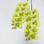 2 Pcs Orchid Stems 38" Artificial Flowers Real Touch Latex Faux Phalaenopsis Branches White Artificial Flowers for Wedding Party Home Garden Decor (Green, 38")
